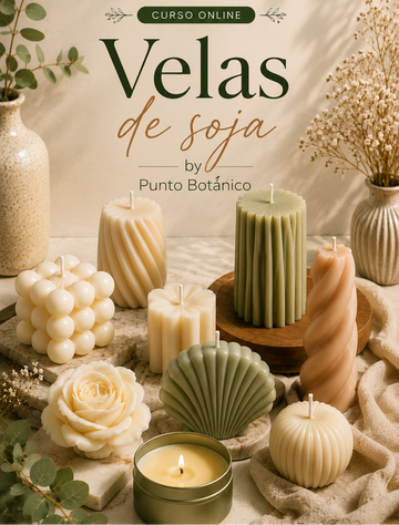 Masterclass Velas de Soja by Punto Botánico